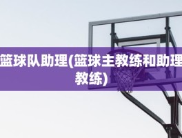 篮球队助理(篮球主教练和助理教练)