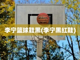 李宁篮球鞋黑(李宁黑红鞋)
