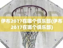 伊布2017在哪个俱乐部(伊布2017在哪个俱乐部)