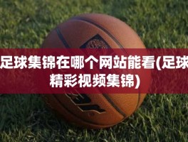 足球集锦在哪个网站能看(足球精彩视频集锦)