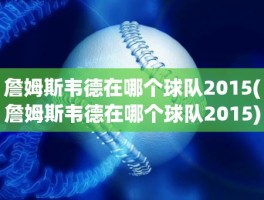 詹姆斯韦德在哪个球队2015(詹姆斯韦德在哪个球队2015)