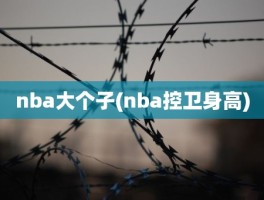 nba大个子(nba控卫身高)