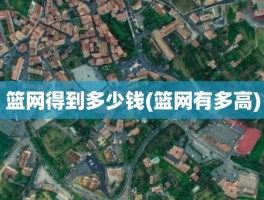 篮网得到多少钱(篮网有多高)