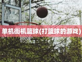 单机街机篮球(打篮球的游戏)