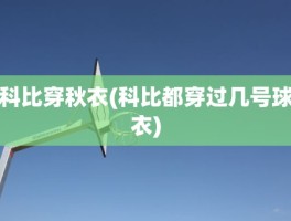科比穿秋衣(科比都穿过几号球衣)