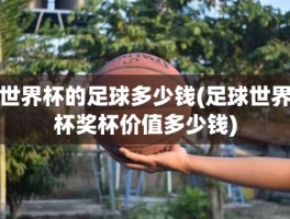 世界杯的足球多少钱(足球世界杯奖杯价值多少钱)