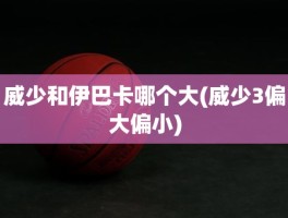威少和伊巴卡哪个大(威少3偏大偏小)