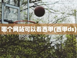 哪个网站可以看西甲(西甲ds)