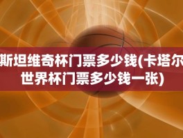 斯坦维奇杯门票多少钱(卡塔尔世界杯门票多少钱一张)