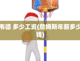 韦德 多少工资(詹姆斯年薪多少钱)