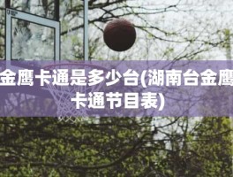 金鹰卡通是多少台(湖南台金鹰卡通节目表)