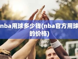 nba用球多少钱(nba官方用球的价格)