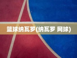 篮球纳瓦罗(纳瓦罗 网球)