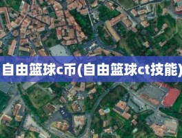 自由篮球c币(自由篮球ct技能)