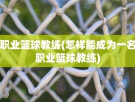 职业篮球教练(怎样能成为一名职业篮球教练)