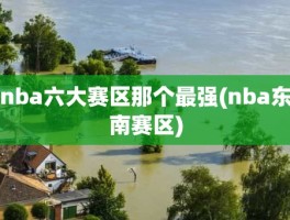 nba六大赛区那个最强(nba东南赛区)