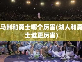 马刺和勇士哪个厉害(湖人和勇士谁更厉害)