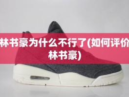 林书豪为什么不行了(如何评价林书豪)