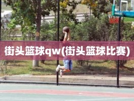 街头篮球qw(街头篮球比赛)