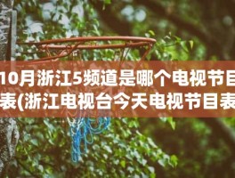 10月浙江5频道是哪个电视节目表(浙江电视台今天电视节目表)