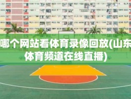 哪个网站看体育录像回放(山东体育频道在线直播)