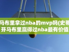 马布里拿过nba的mvp吗(史蒂芬马布里赢得过nba最有价值球员奖吗)
