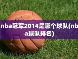 nba冠军2014是哪个球队(nba球队排名)