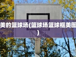 美的篮球场(篮球场篮球框美图)