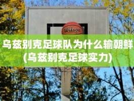 乌兹别克足球队为什么输朝鲜(乌兹别克足球实力)