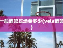 一般酒吧过场费多少(vela酒吧)