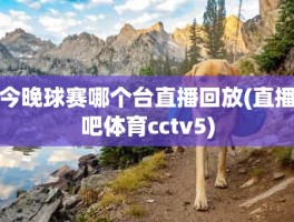 今晚球赛哪个台直播回放(直播吧体育cctv5)