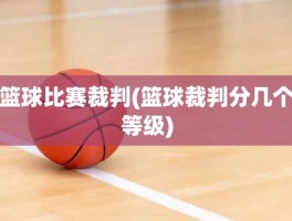 篮球比赛裁判(篮球裁判分几个等级)