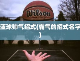 篮球帅气招式(霸气的招式名字)