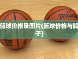 篮球价格及图片(篮球价格与牌子)