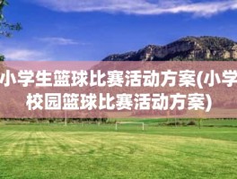 小学生篮球比赛活动方案(小学校园篮球比赛活动方案)