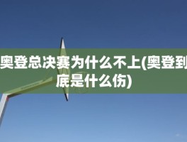 奥登总决赛为什么不上(奥登到底是什么伤)