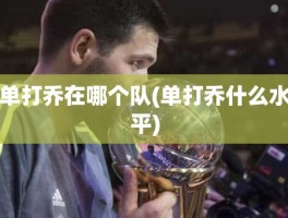 单打乔在哪个队(单打乔什么水平)