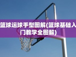 篮球运球手型图解(篮球基础入门教学全图解)