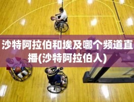 沙特阿拉伯和埃及哪个频道直播(沙特阿拉伯人)