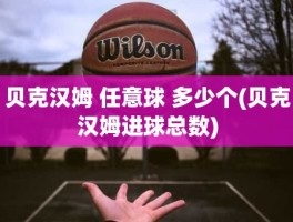 贝克汉姆 任意球 多少个(贝克汉姆进球总数)