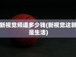 新视觉频道多少钱(新视觉这就是生活)