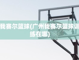 我赛尔篮球(广州我赛尔篮球训练在哪)