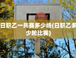 日职乙一共赛多少场(日职乙多少轮比赛)