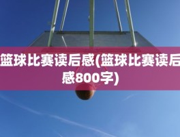 篮球比赛读后感(篮球比赛读后感800字)