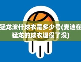 猛龙波什球衣是多少号(麦迪在猛龙的球衣退役了没)