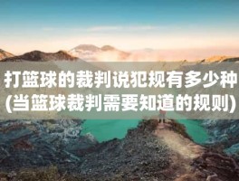 打篮球的裁判说犯规有多少种(当篮球裁判需要知道的规则)