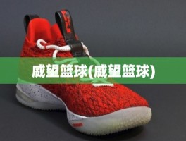 威望篮球(威望篮球)