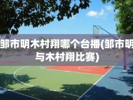 邹市明木村翔哪个台播(邹市明与木村翔比赛)