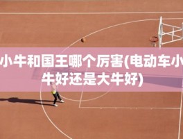小牛和国王哪个厉害(电动车小牛好还是大牛好)
