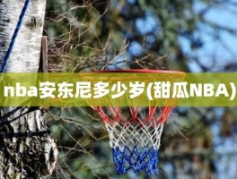 nba安东尼多少岁(甜瓜NBA)